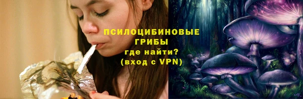 apvp Арсеньев