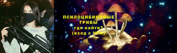 apvp Арсеньев