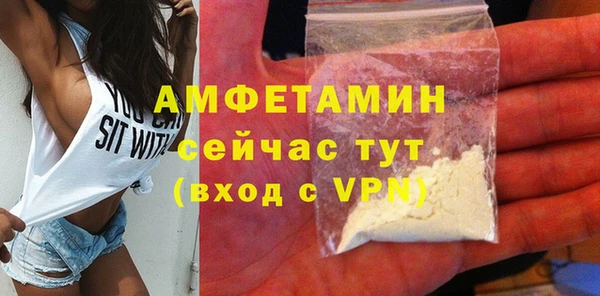 стаф Аркадак